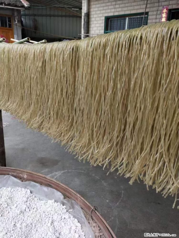 【灌阳正宗红薯粉】美女家里自己做的，干净卫生，假一赔十，价格合理，抢购电话：13737312895 - 美食天地 - 滨州生活社区 - 滨州28生活网 bz.28life.net
