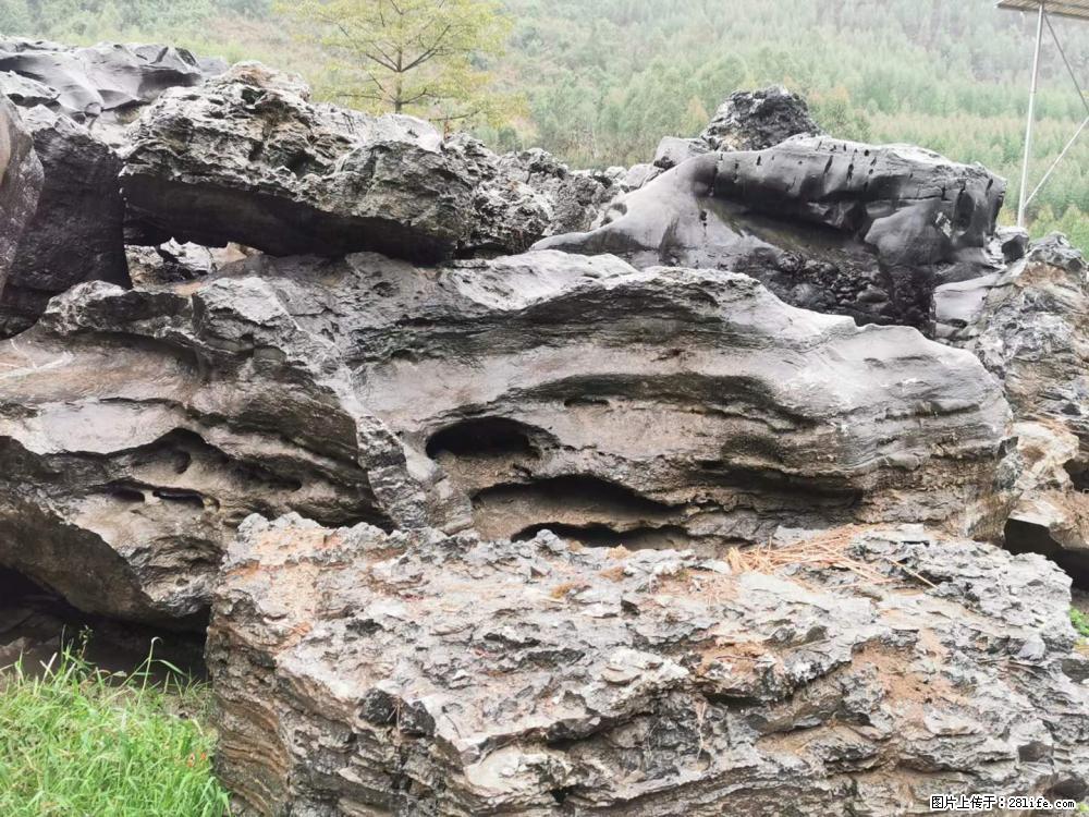 风景石、假山石大量有货，有需要的欢迎联系 - 新手上路 - 滨州生活社区 - 滨州28生活网 bz.28life.net