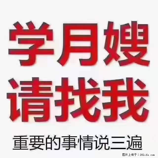 为什么要学习月嫂，育婴师？ - 新手上路 - 滨州生活社区 - 滨州28生活网 bz.28life.net