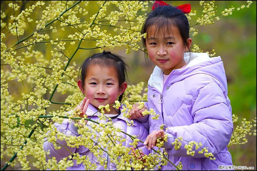 【春天，广西桂林灌阳县向您发出邀请！】米珠山前有片山苍子花在飘香 - 游山玩水 - 滨州生活社区 - 滨州28生活网 bz.28life.net