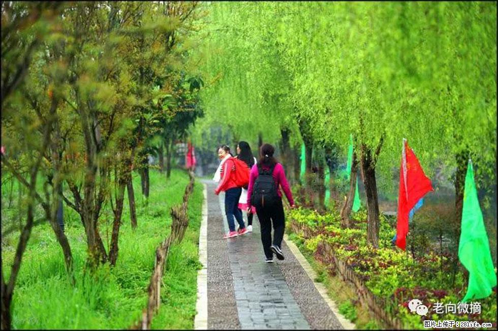【春天，广西桂林灌阳县向您发出邀请！】江口老街又逢春 - 游山玩水 - 滨州生活社区 - 滨州28生活网 bz.28life.net
