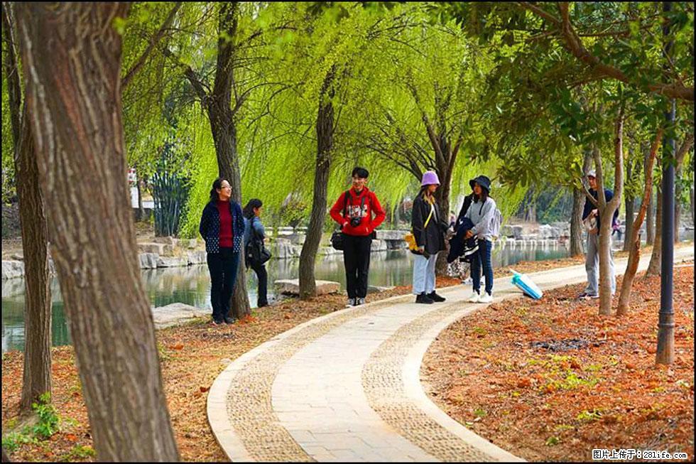 【春天，广西桂林灌阳县向您发出邀请！】江口老街又逢春 - 游山玩水 - 滨州生活社区 - 滨州28生活网 bz.28life.net