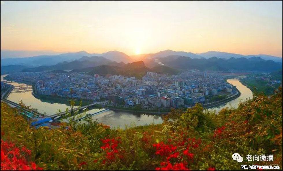 【春天，广西桂林灌阳县向您发出邀请！】登麒麟山，相约映山红 - 游山玩水 - 滨州生活社区 - 滨州28生活网 bz.28life.net