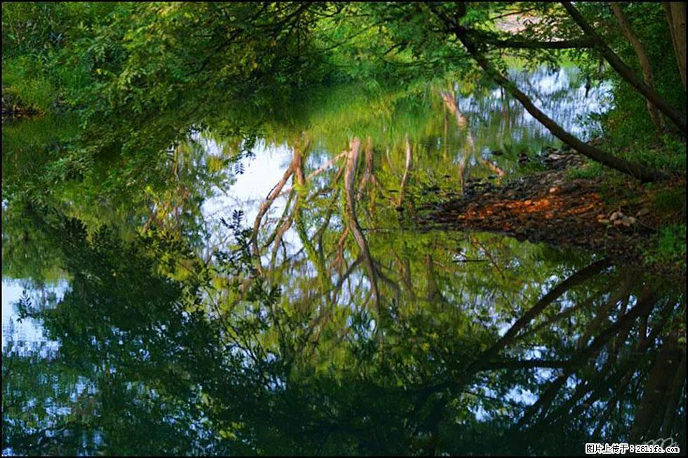 【春天，广西桂林灌阳县向您发出邀请！】熊家寨湿地公园 - 游山玩水 - 滨州生活社区 - 滨州28生活网 bz.28life.net