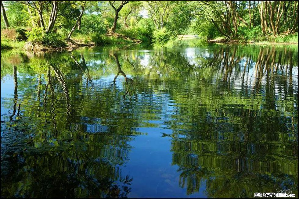 【春天，广西桂林灌阳县向您发出邀请！】熊家寨湿地公园 - 游山玩水 - 滨州生活社区 - 滨州28生活网 bz.28life.net