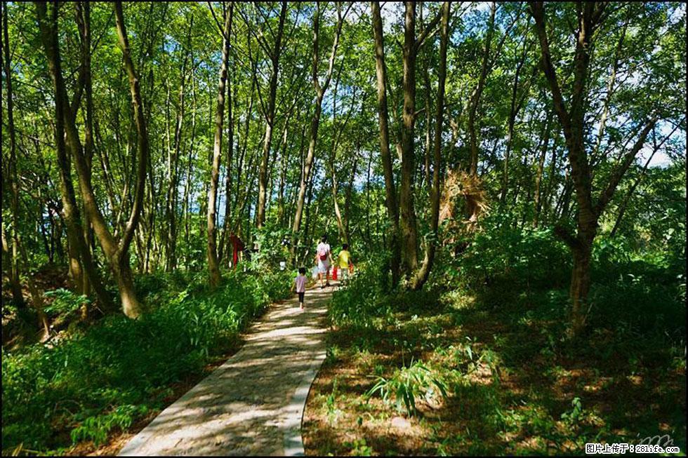 【春天，广西桂林灌阳县向您发出邀请！】熊家寨湿地公园 - 游山玩水 - 滨州生活社区 - 滨州28生活网 bz.28life.net