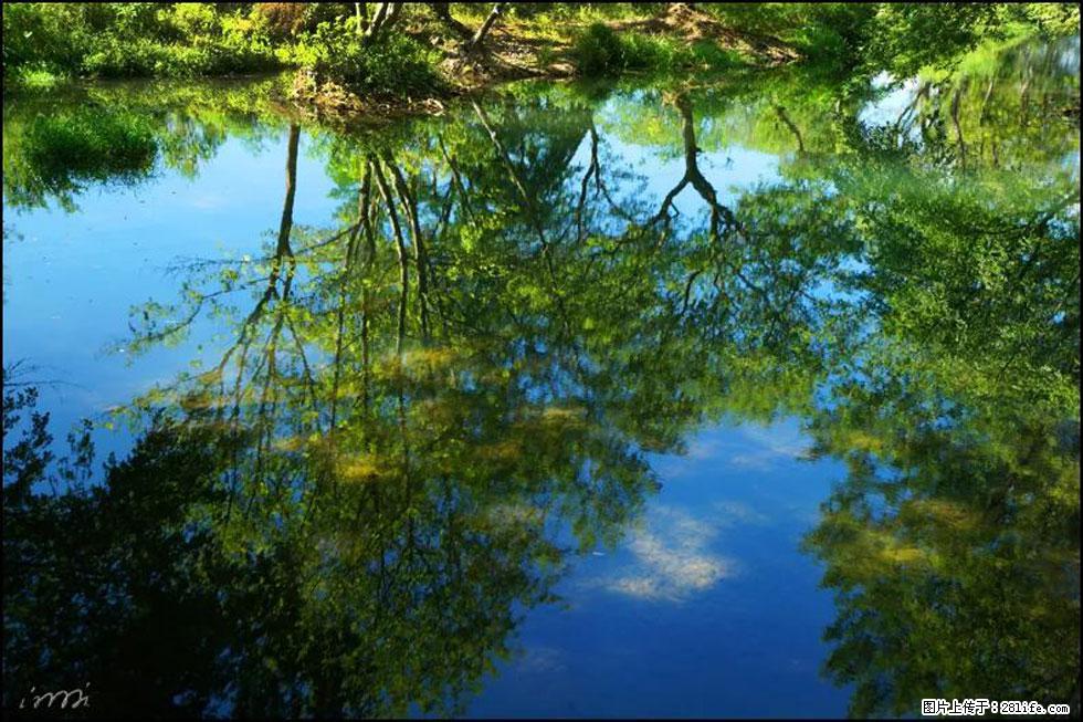 【春天，广西桂林灌阳县向您发出邀请！】熊家寨湿地公园 - 游山玩水 - 滨州生活社区 - 滨州28生活网 bz.28life.net