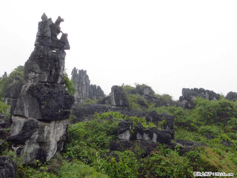 桂林旅游名城景点：灌阳文市石林 - 游山玩水 - 滨州生活社区 - 滨州28生活网 bz.28life.net
