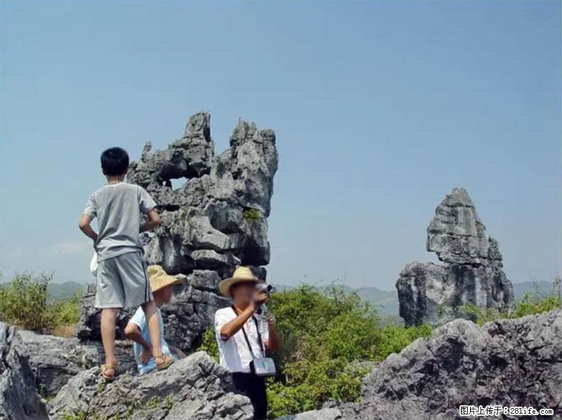 桂林旅游名城景点：灌阳文市石林 - 游山玩水 - 滨州生活社区 - 滨州28生活网 bz.28life.net