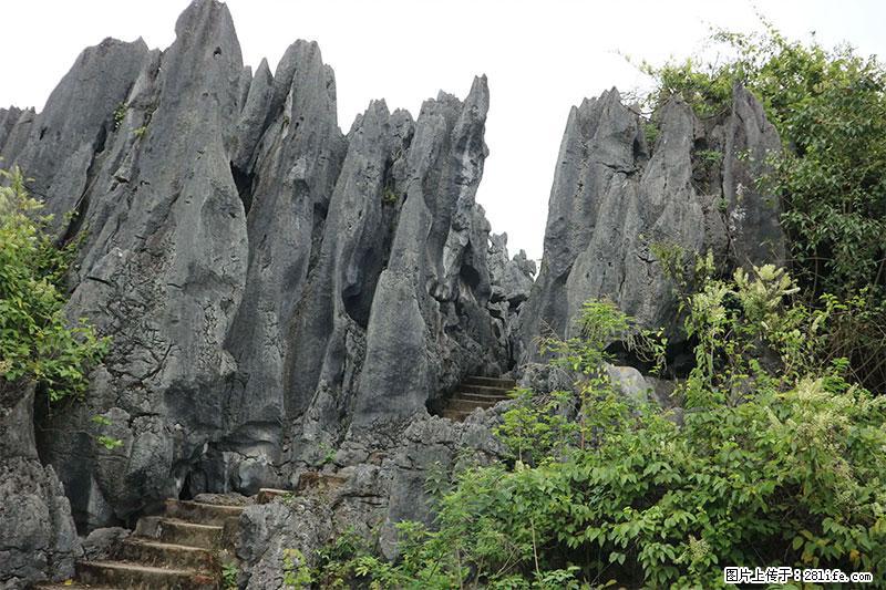 桂林旅游名城景点：灌阳文市石林 - 游山玩水 - 滨州生活社区 - 滨州28生活网 bz.28life.net