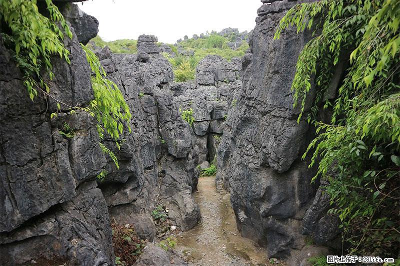 桂林旅游名城景点：灌阳文市石林 - 游山玩水 - 滨州生活社区 - 滨州28生活网 bz.28life.net
