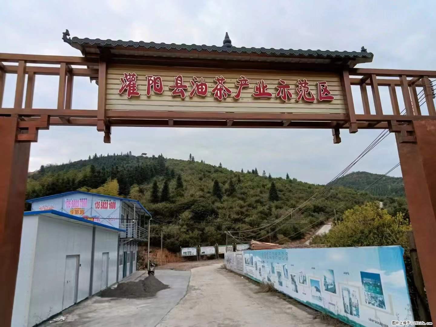 【灌阳县油茶产业示范区】一个有着充实的精神生活的人，对待身外之物自会有一种淡泊的态度 - 美食天地 - 滨州生活社区 - 滨州28生活网 bz.28life.net
