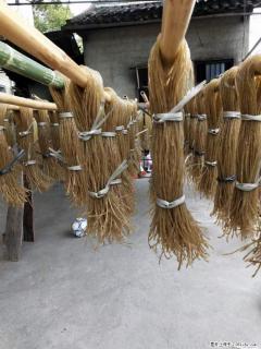 【灌阳正宗红薯粉】美女家里自己做的，干净卫生，假一赔十，价格合理，抢购电话：13737312895 - 滨州28生活网 bz.28life.net