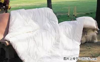 被子有异味？只要这样做，比晒太阳还强100倍！ - 家居生活 - 滨州生活社区 - 滨州28生活网 bz.28life.net