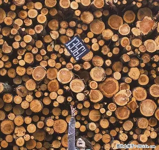 辞掉工作周游世界？现在他们在洗厕所…… - 游山玩水 - 滨州生活社区 - 滨州28生活网 bz.28life.net