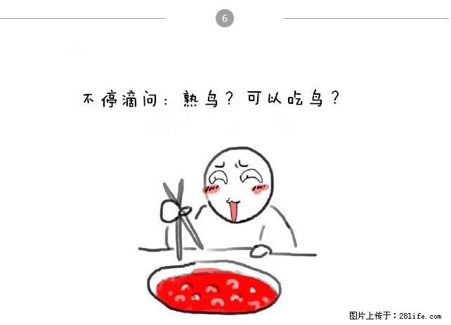 千万不要和这9种哈卵一起吃火锅！ - 美食天地 - 滨州生活社区 - 滨州28生活网 bz.28life.net