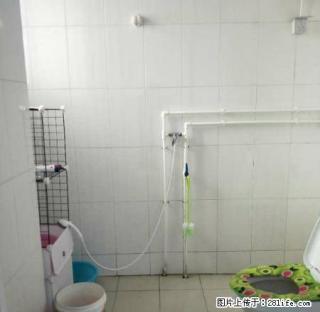 山柳刘小区 精装2室对外出租 水电暖齐全 1000元 急租 - 滨州28生活网 bz.28life.net