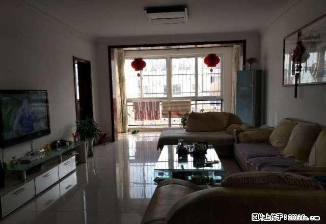 黄十渤十吉太阳光 紧邻万达六中 12平精装 家具齐全 拎包住 - 房屋出租 - 房屋租售 - 滨州分类信息 - 滨州28生活网 bz.28life.net