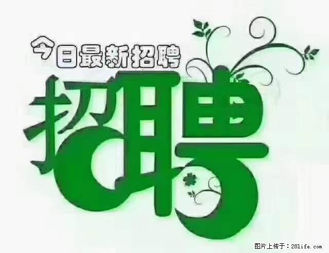 【招聘摄像师】待遇：试用期6000元/月，转正7000元/月+五险一金+餐补+节日福利+奖金 - 职场交流 - 滨州生活社区 - 滨州28生活网 bz.28life.net