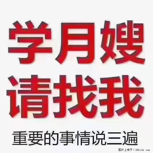 【招聘】月嫂，上海徐汇区 - 职场交流 - 滨州生活社区 - 滨州28生活网 bz.28life.net