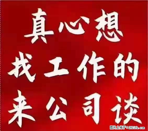 【上海】国企，医院招两名男保安，55岁以下，身高1.7米以上，无犯罪记录不良嗜好 - 职场交流 - 滨州生活社区 - 滨州28生活网 bz.28life.net