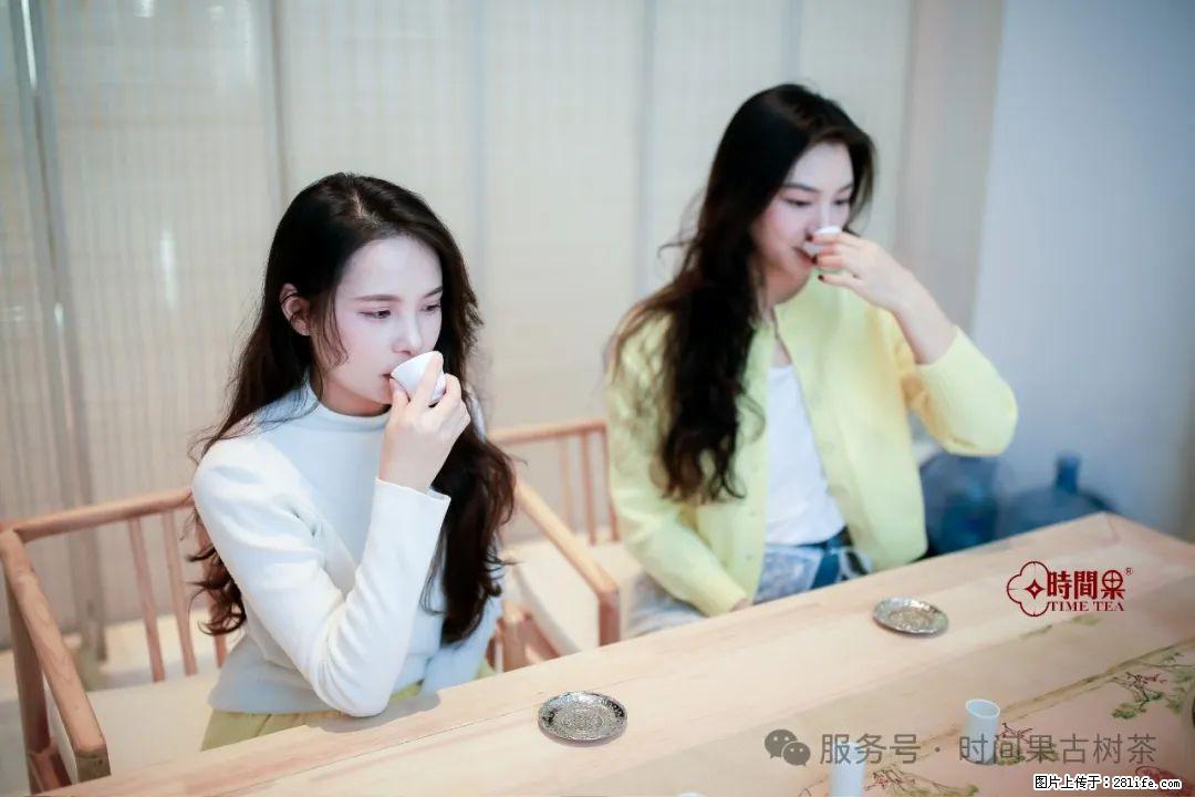 时间果百年古树龙珠普洱生茶 - 购物交流 - 滨州生活社区 - 滨州28生活网 bz.28life.net