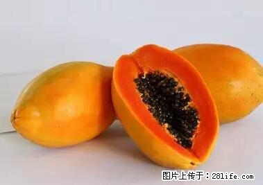晕车、脚气、牙齿变黄、皮肤粗糙？学会这些三分钟搞定！ - 滨州生活资讯 - 滨州28生活网 bz.28life.net