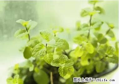 晕车、脚气、牙齿变黄、皮肤粗糙？学会这些三分钟搞定！ - 滨州生活资讯 - 滨州28生活网 bz.28life.net