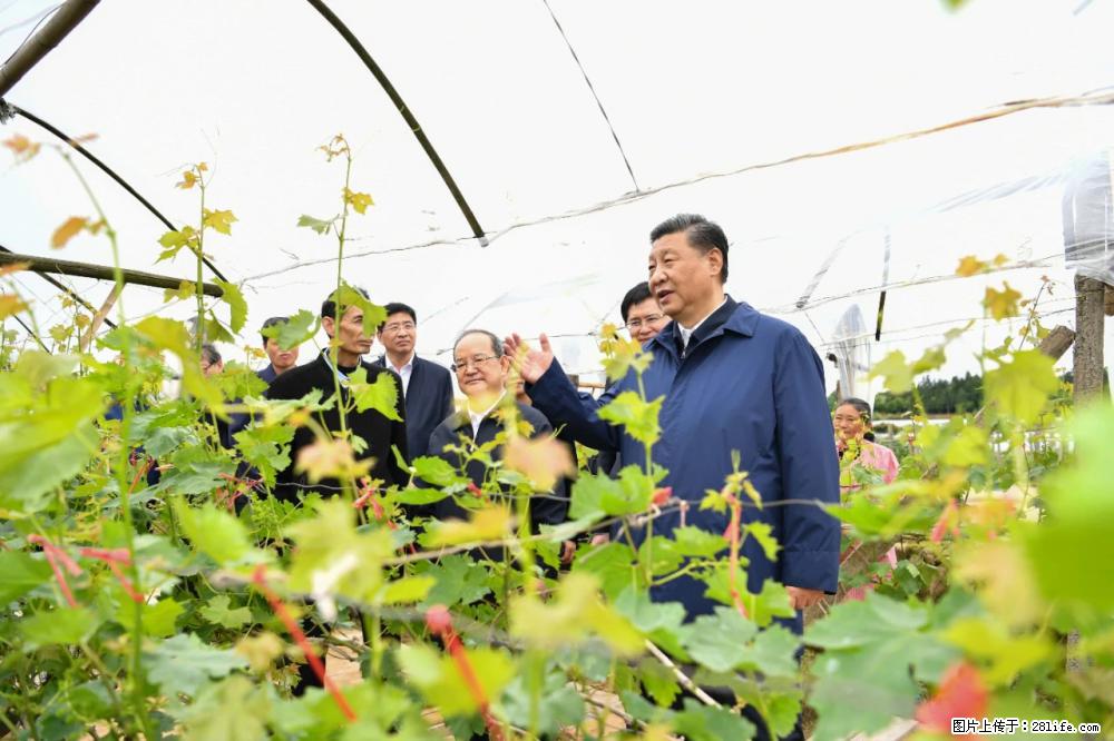 习近平赴广西考察调研 - 滨州生活资讯 - 滨州28生活网 bz.28life.net