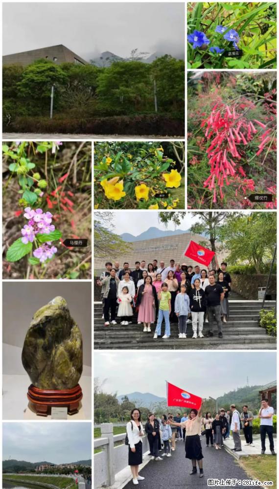 “粤灌文化 美好生活”油茶文化主题活动在广东深圳成功举办 - 滨州生活资讯 - 滨州28生活网 bz.28life.net