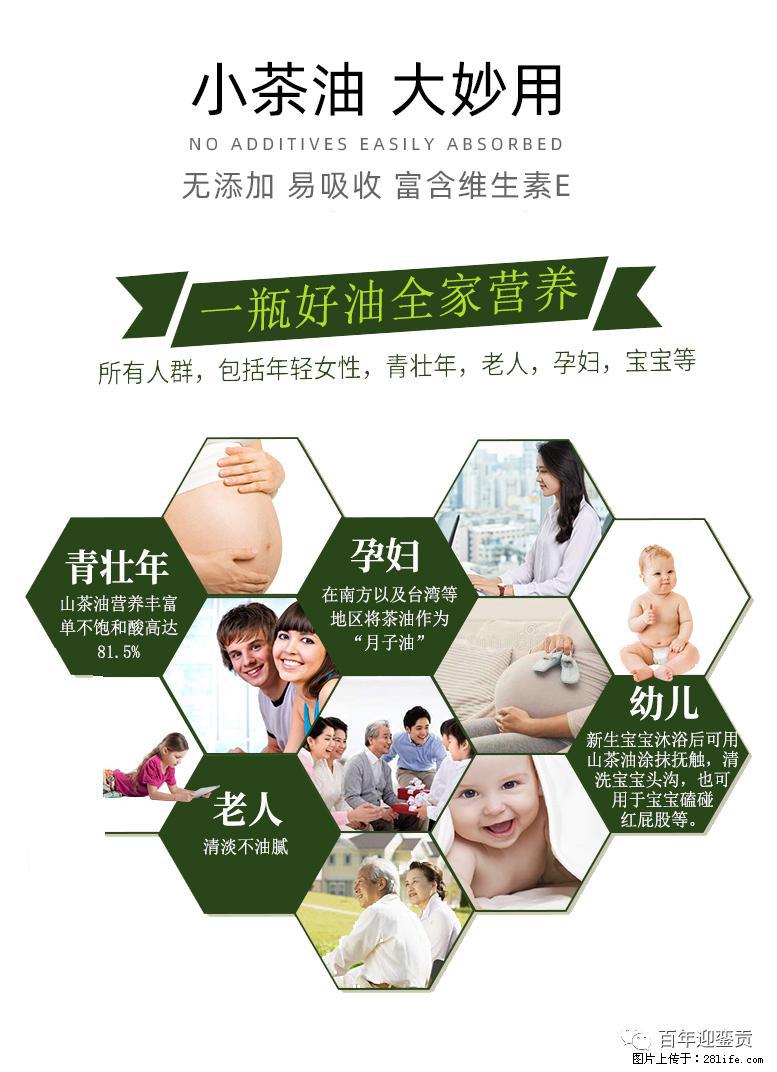 世界没有真相，只有认知，最好的食用油是中国的山茶油！ - 滨州生活资讯 - 滨州28生活网 bz.28life.net