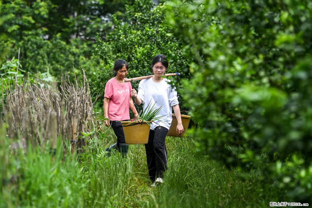 全网追的“扁担女孩”，找了一份暑假工，时薪12元 - 滨州生活资讯 - 滨州28生活网 bz.28life.net