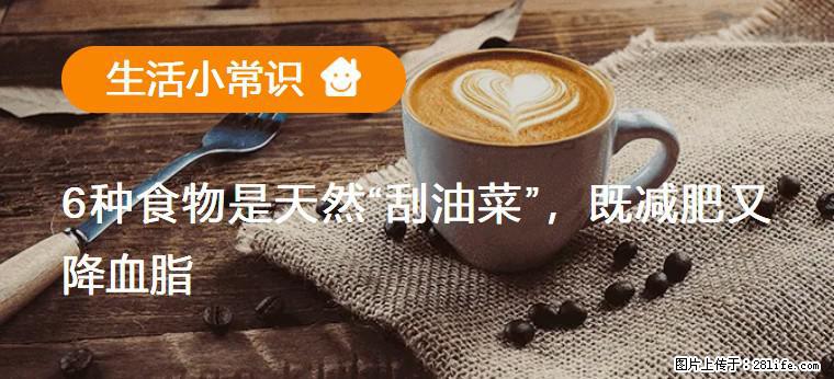 【生活小常识】6种食物是天然“刮油菜”，既减肥又降血脂 - 滨州生活资讯 - 滨州28生活网 bz.28life.net