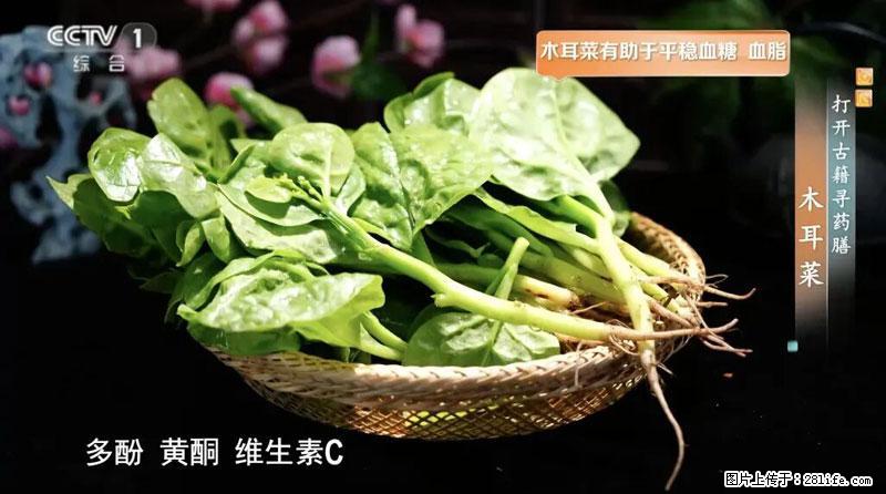 比牛奶补钙还厉害！凉血解毒、稳血糖...这菜冬天必吃，很多人却当草 - 滨州生活资讯 - 滨州28生活网 bz.28life.net