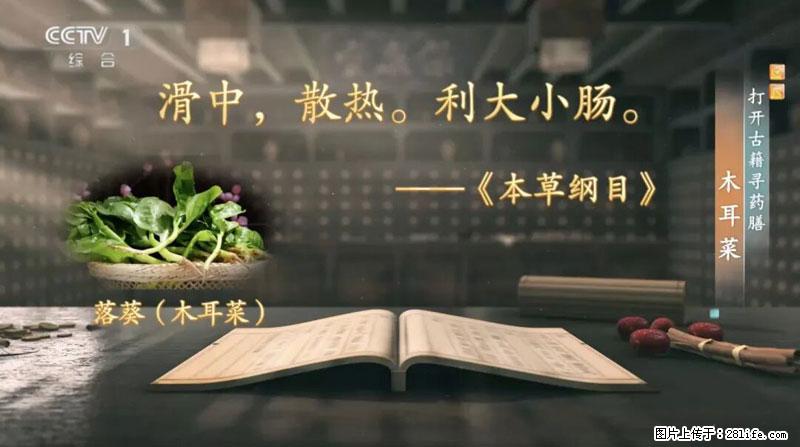比牛奶补钙还厉害！凉血解毒、稳血糖...这菜冬天必吃，很多人却当草 - 滨州生活资讯 - 滨州28生活网 bz.28life.net