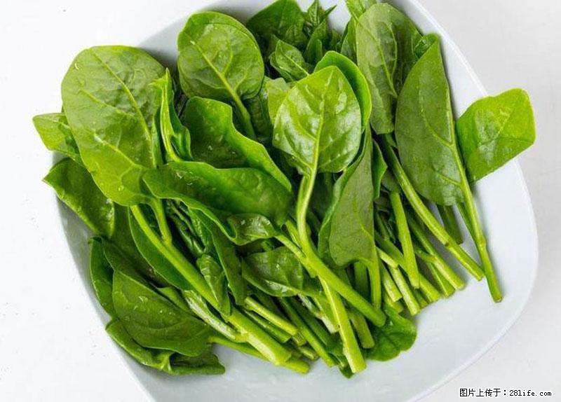 这些蔬菜是“天然钙片”，这6种被医生重点推荐 - 滨州生活资讯 - 滨州28生活网 bz.28life.net