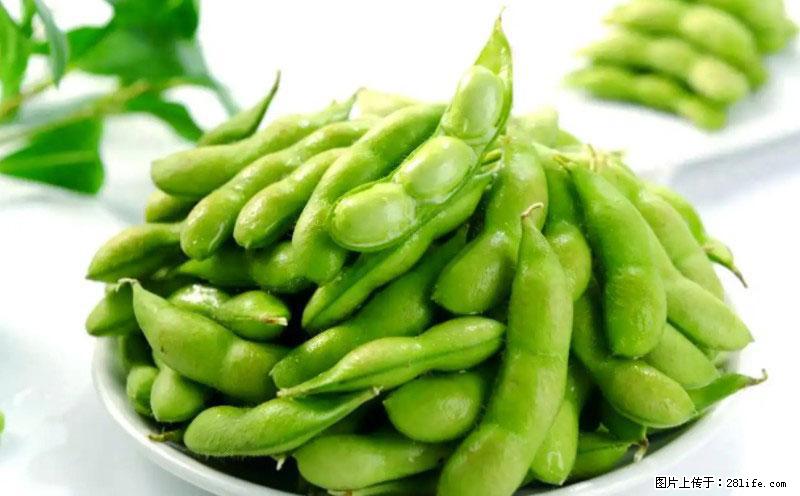 这些蔬菜是“天然钙片”，这6种被医生重点推荐 - 滨州生活资讯 - 滨州28生活网 bz.28life.net