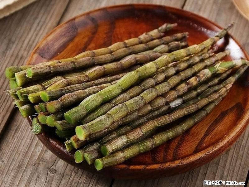 铁皮石斛的作用与功能主治 - 滨州生活资讯 - 滨州28生活网 bz.28life.net