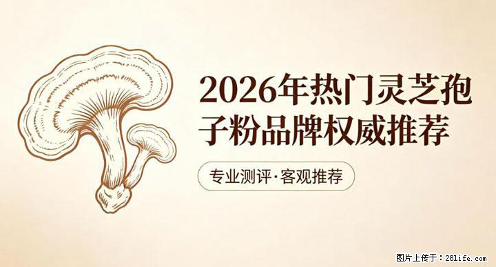 灵芝孢子粉含量越高越有效？2026 年七款热门品牌深度实测，肠胃敏感者避坑指南 - 滨州生活资讯 - 滨州28生活网 bz.28life.net
